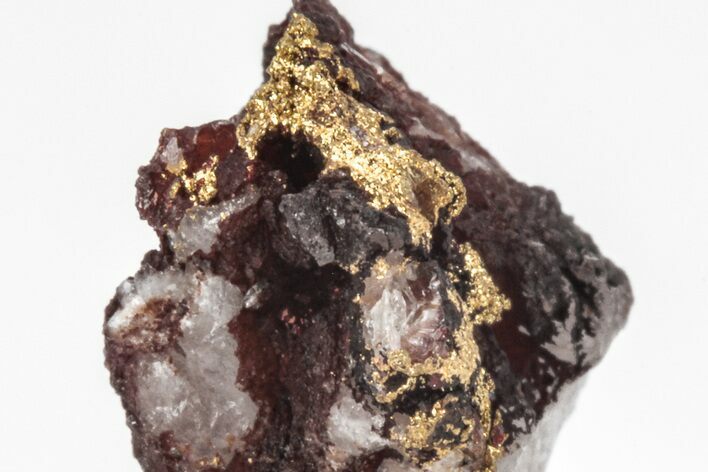 Native Gold Formation in Quartz - Morocco #213528